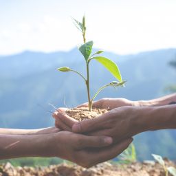 Ecologia e ambiente